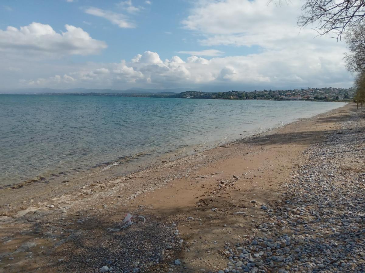 Paralia Avlidhos Apollon And Artemis Bed & Breakfast エクステリア 写真
